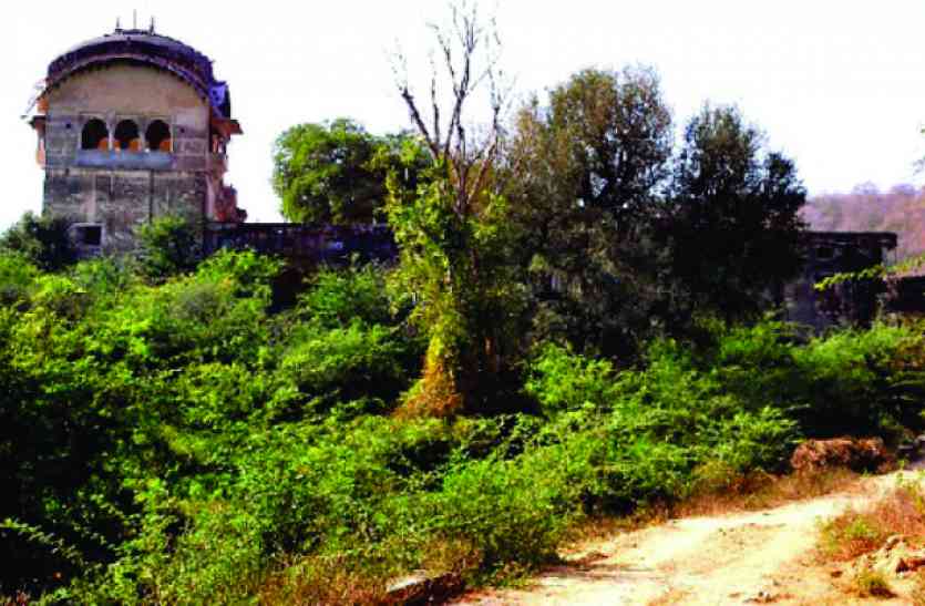 ramgarh-reached-tiger-t-91 पुरखों के घर में गूंजी दहाड़, उजड़े चमन में लौटी बहार रामगढ़ पहुंचा बाघ टी-91