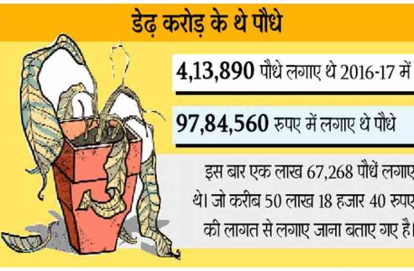 patrika लापरवाही ऐसी कि डेढ़ लाख के निकल गए प्राण