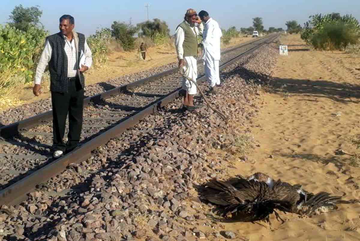 Jaisalmer patrika