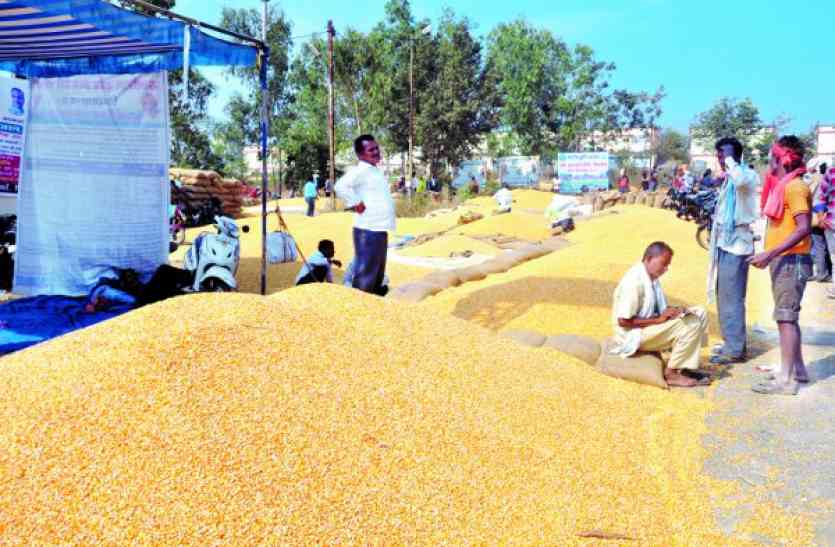 Farmer indignant in mandi फूटा किसानों का गुस्सा, मंडी में मचाया हंगामा