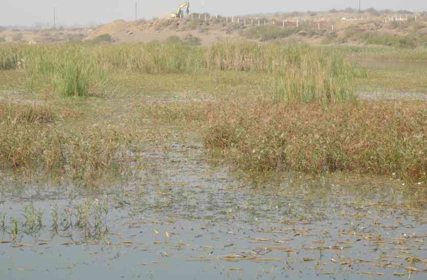 If there was no time spent cleaning then the water would fall अगर समय रहते नहीं हुई सफाई, तो पानी के पड़ जाएंगे लाले