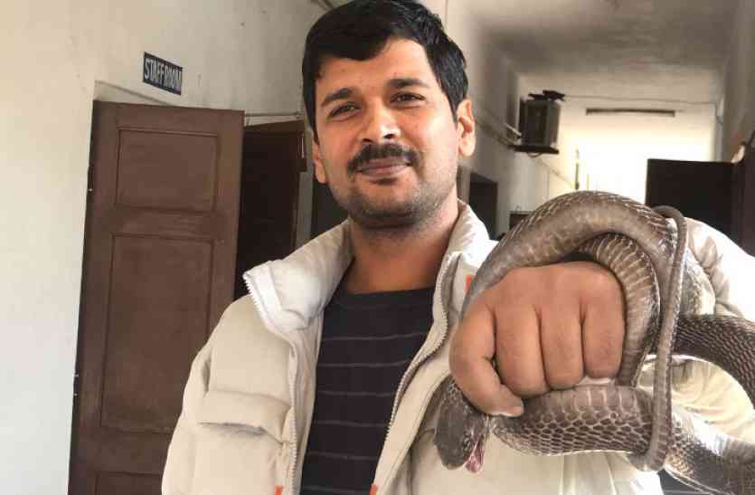 cobra in rajasthan university राजस्थान विवि के छात्रावास में निकला कोबरा, छात्रों में मच गया हडकंप, देखें फोटोज