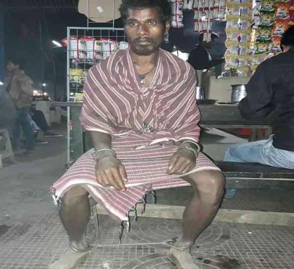 Dadu
