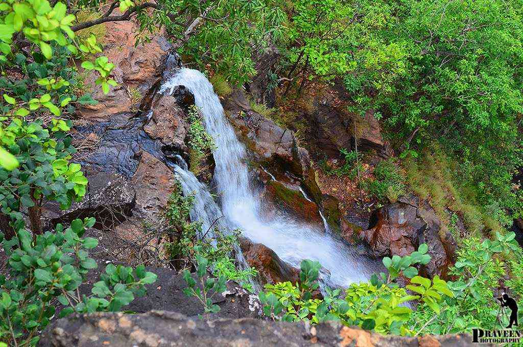 Satpura Ki Rani Pachmarhi Latest News in Hindi
