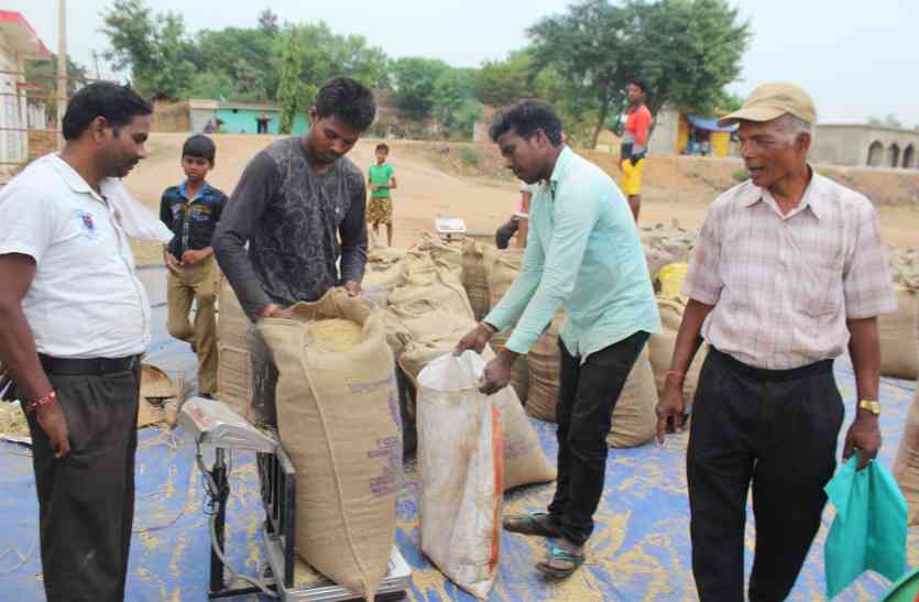 Dhan kharidi सूखे का ऐसा असर, 3 केंद्रों में एक दाना तक नहीं आया बिकने