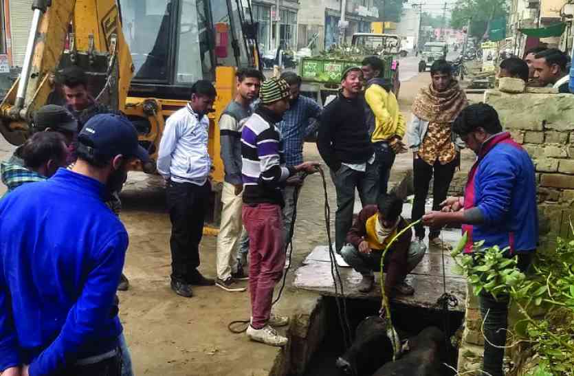 bull fell down in water tank Video: नाले में गिरे सांड को जेसीबी से निकाला