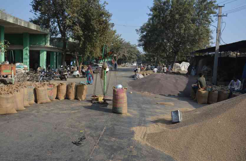 650 cr rupees credit on farmers in alwar district इस जिले में किसानों की हालत खराब, 650 करोड़ के कर्ज तले कर रहे आत्महत्या