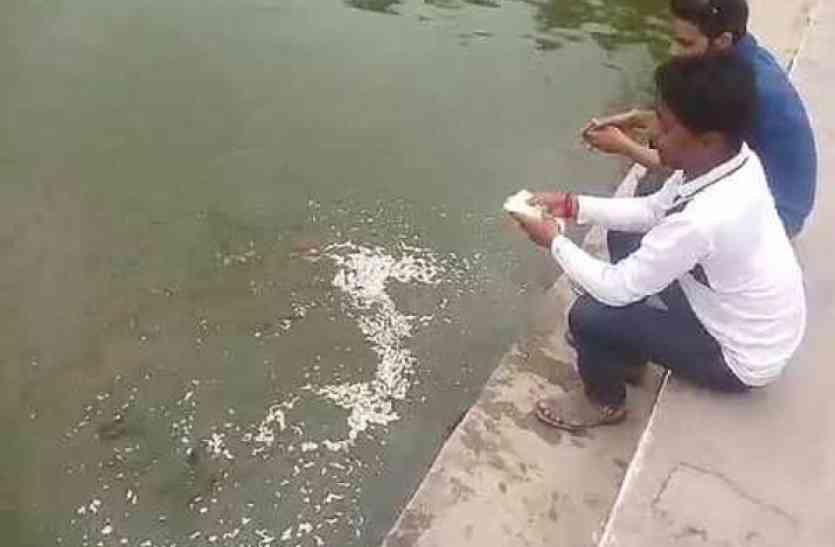 Deoband मछलियों को दाना डालना एक व्यक्ति को पड़ गया महंगा, जानिए आखिर क्या हुआ ऐसा