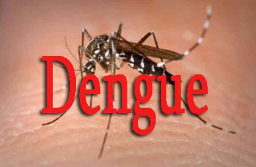 Dengue क्या आप जानतें हैं इन कारणों से होता है डेंगू