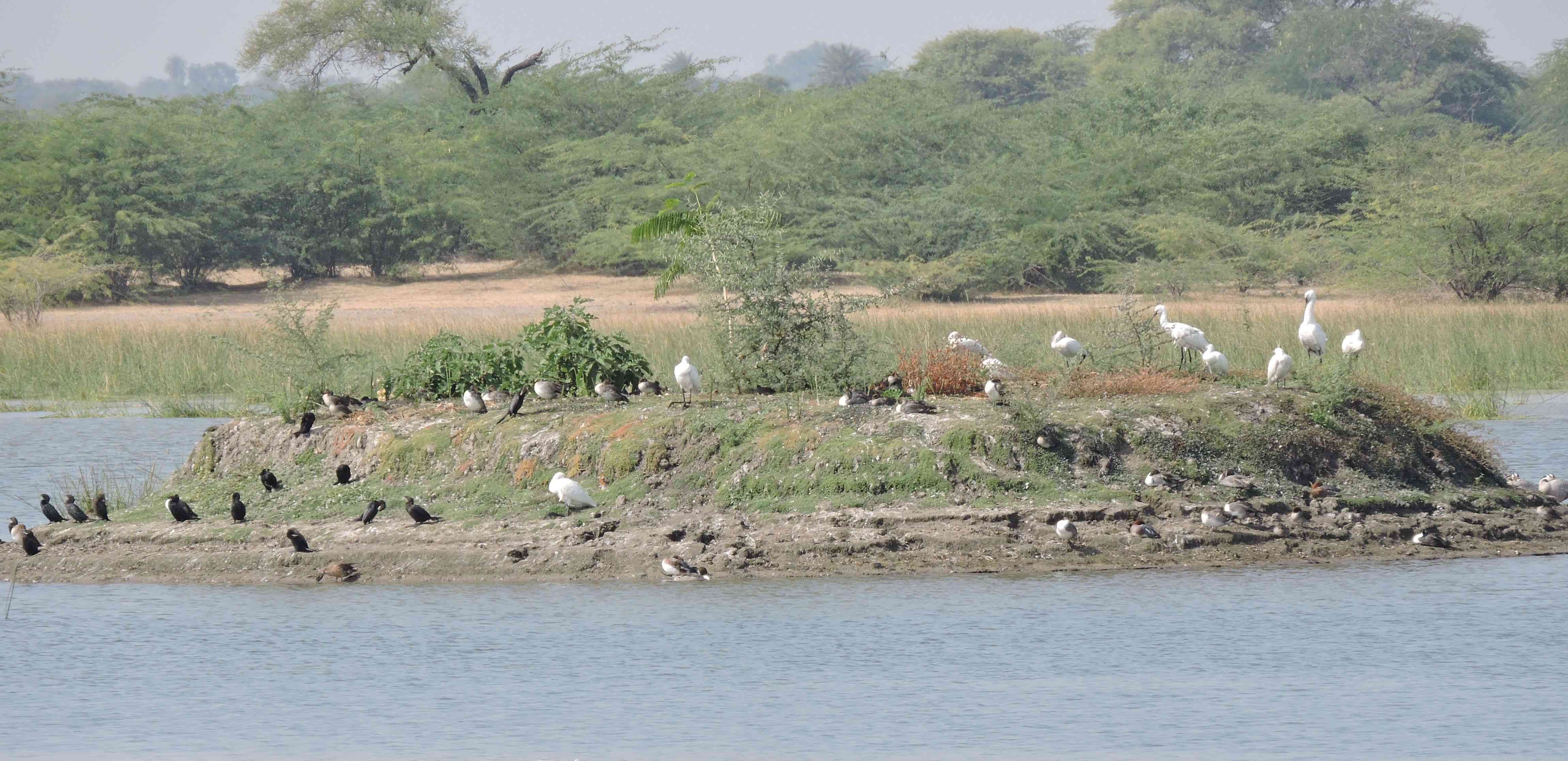 kishan kareri pond