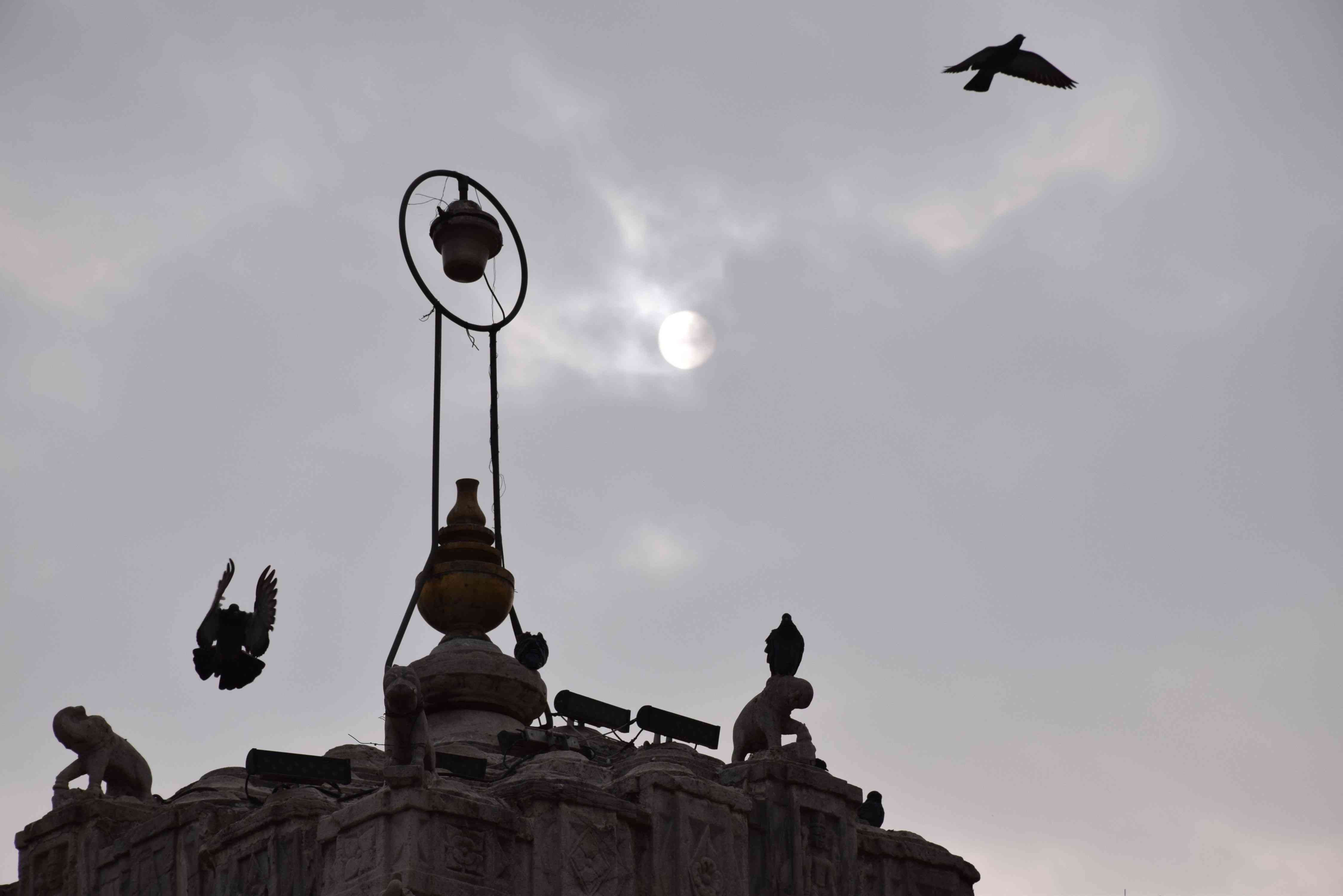 udaipur weather