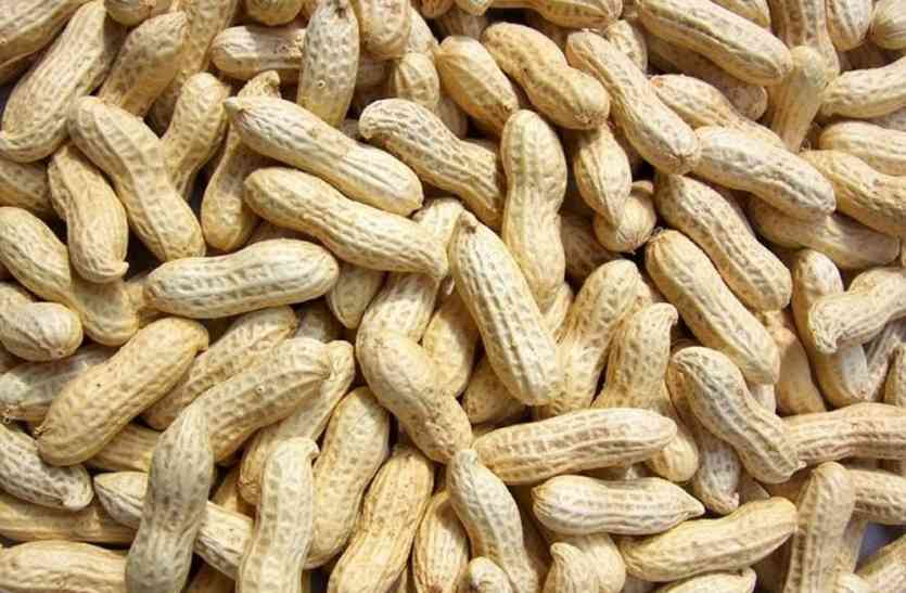 groundnut 100 ग्राम मूंगफली से ऐसे बदल जाएगी आपकी लाइफ स्टाइल