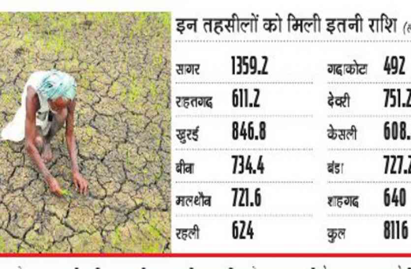 patrika पटवारी हल्कों में सर्वे करने के आदेश, पहली किश्त में 81 करोड़ रुपए