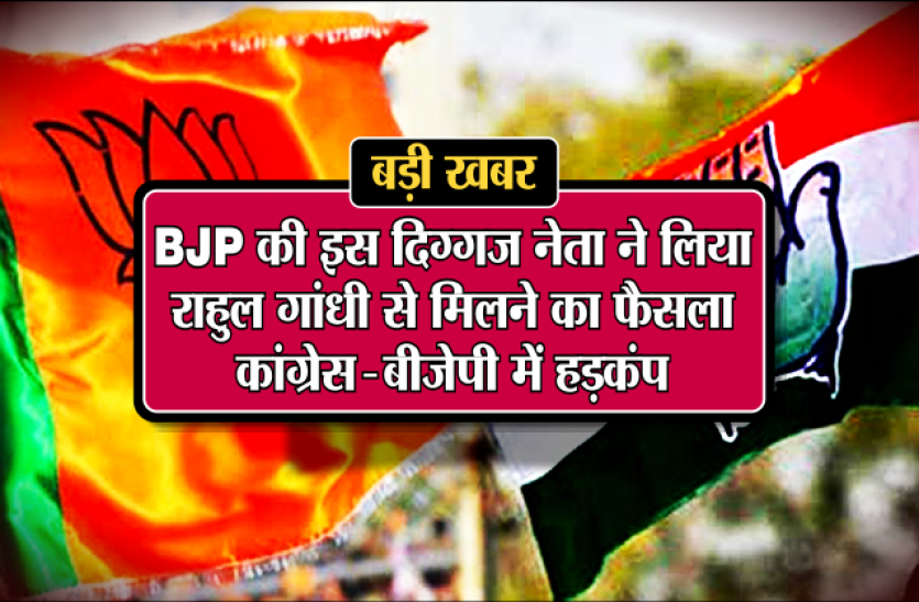 BJP MLA बीजेपी की इस दिग्गज नेता ने लिया राहुल गांधी से मिलने का फैसला, कांग्रेस-भाजपा में हड़कंप