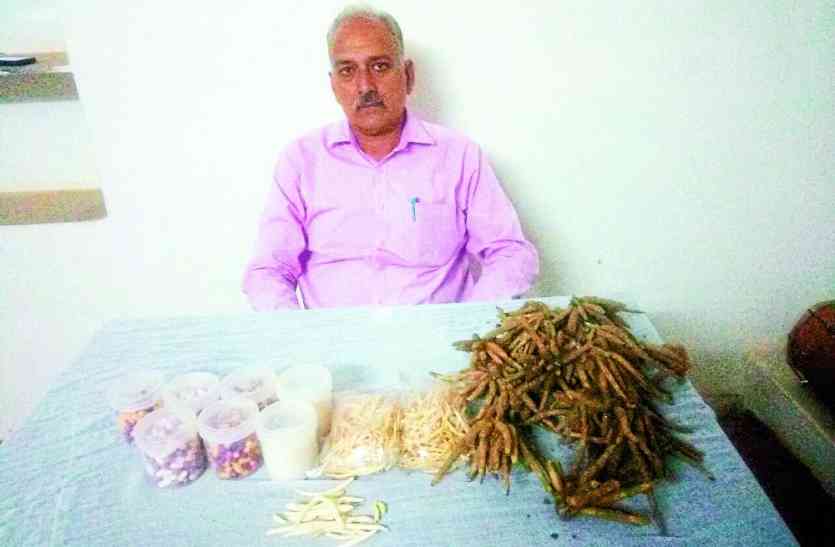 farmer nanalal sharma National Farmers Day: उदयपुर के इस किसान ने किए खेती में ऐसे प्रयोग कि बन गए दूसरों के लिए आदर्श, आज कमा रहे लाखों में