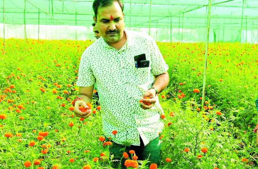 Farmer Rameshchandra जिस जमीन पर घास उगाना भी मुश्किल था वहां इस किसान ने लहलहा दी फूलों की फसल, अब फूल भर रहे खुशियों से झोली