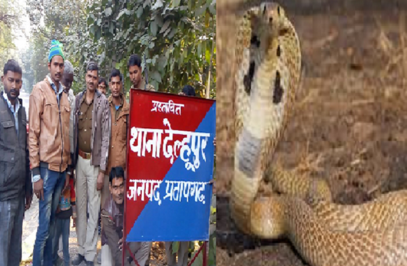 new police station work start in pratapgarh after snake attack यूपी के प्रतापगढ़ में बनेगा सांपों के लिए थाना, पढ़ें पूरी खबर
