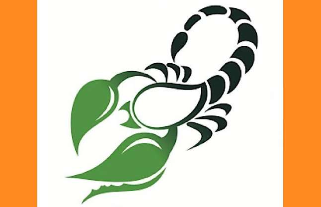 Scorpio zodiac sign prediction, aaj ka rashifal