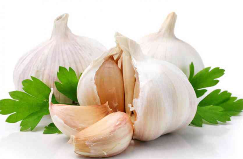 garlic सर्दियों में पुरुषों के लिए रामबाण है लहसुन की एक कली, सुबह खाली पेट खाएं