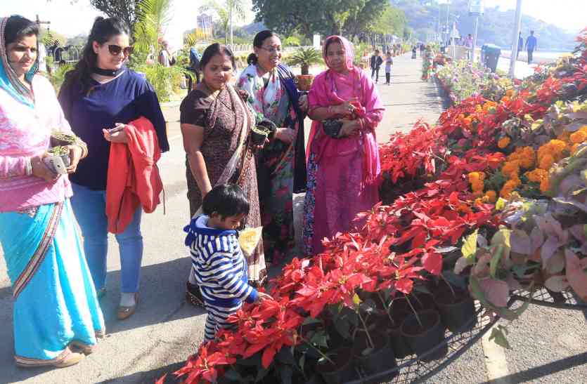 FLOWER SHOW UDAIPUR 2017 AT FATEHSAGAR FLOWER SHOW UDAIPUR 2017: देशी-विदेशी फूलों से महक रही पाल, पर्यटकों को रास आ रही फूलों की खूबसूरती