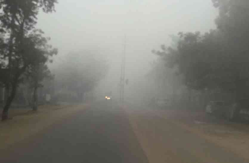 fog in chhatarpur कोहरे के आगोश में रही नए साल की सुबह, सर्द हवा ने भी ढाया सितम