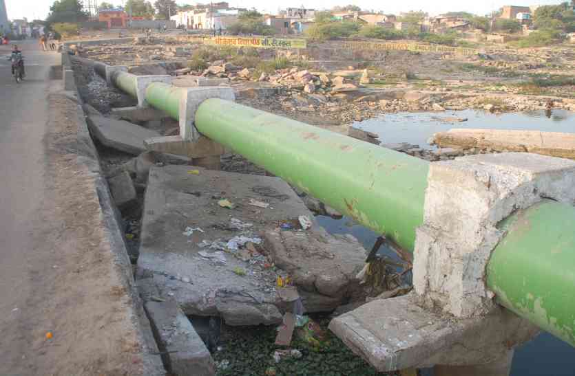 Chambal River 77 करोड़ खर्च फिर भी चंबल का पानी जहरीला, मगरमच्छ तोड़ रहे दम, मछलियां कर रही मौत से संघर्ष