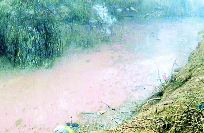 4 people died after jeep fall in pond मध्यप्रदेश के सोनागिरी में मनाने गए थे नववर्ष, वापस लौटते वक्त हुआ ऐसा कि उजड़ गया पूरा परिवार