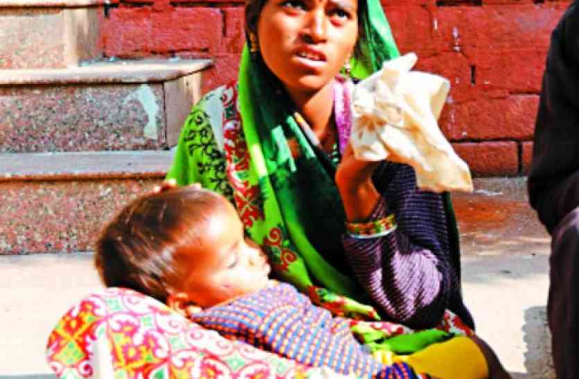 dog bite child in jbp कुत्ते ने नोचा एक साल के इस मासूम का चेहरा, अस्पताल गए तो मिला यह जवाब