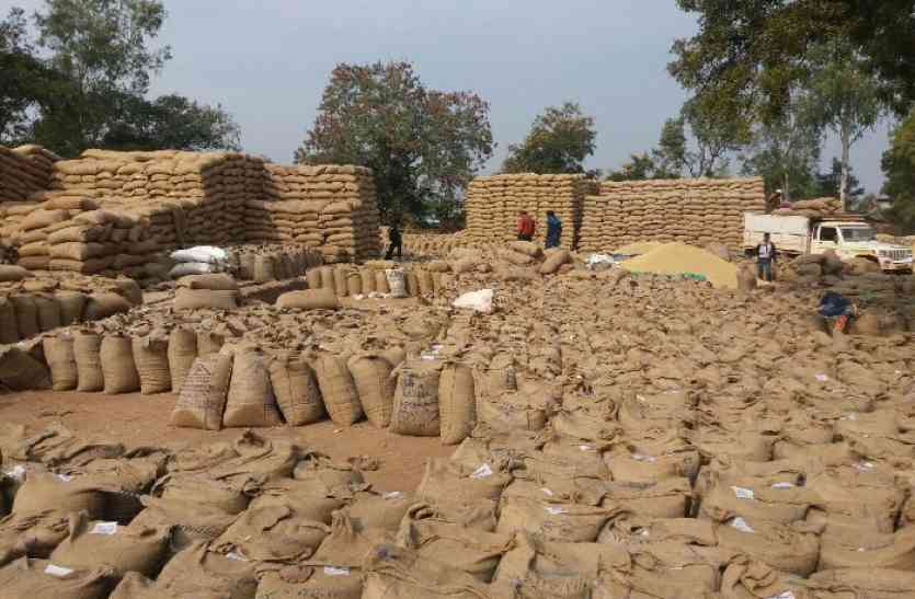 No payment for farmers selling paddy Paddy इस जिले में 1100 किसानों का अटका 23 करोड़ से अधिक का भुगतान, सामने आई अफसरों की बेपरवाही