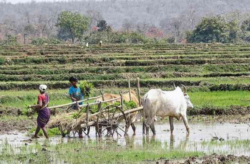 telegana, farmers, land, compensated, collector ये क्या, किसानों को ज़मीन का मुआवज़ा नहीं मिलने पर कलेक्टर कार्यालय का सामान कुर्क