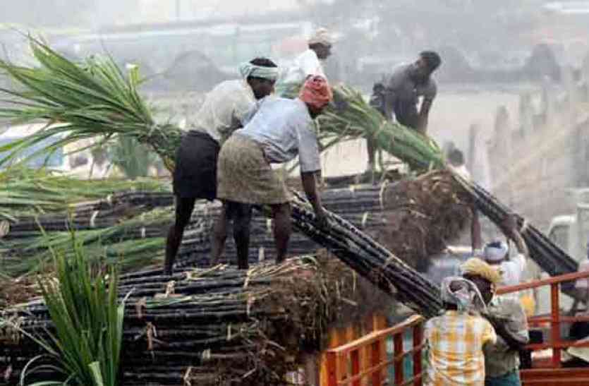 sugar cane farmer गन्ना भुगतान के साथ समिति का कमीशन देने में भी मिल फिसड्डी