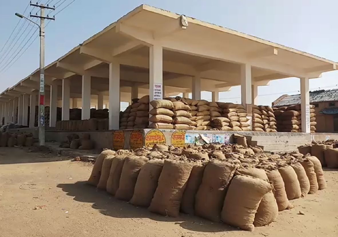 Jaisalmer patrika