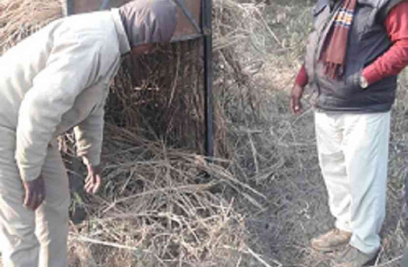 leopard attack ...तो इस कारण चौकीदार बन गया पूरा गांव, लाठी लेकर पहरेदारी कर रहे ग्रामीण!