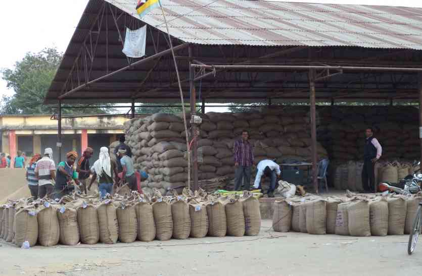 Purchase stuck in slow transport payments धीमे परिवहन-भुगतान में अटकी धान खरीदी