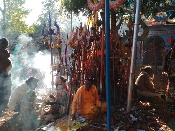 Shankaravan wakes up in todays pilgrimage शंकरवन में आज उमड़ेगा श्रद्धालुओं का सैलाब