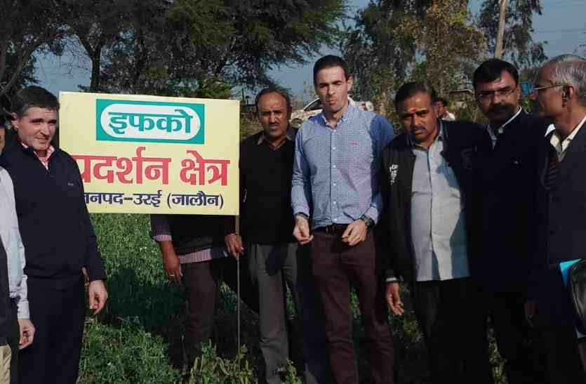 peas framers जालौन में किसानों के आयेगें अच्छे दिन, स्पेन तक पहुंचेगी यहां की खास मटर