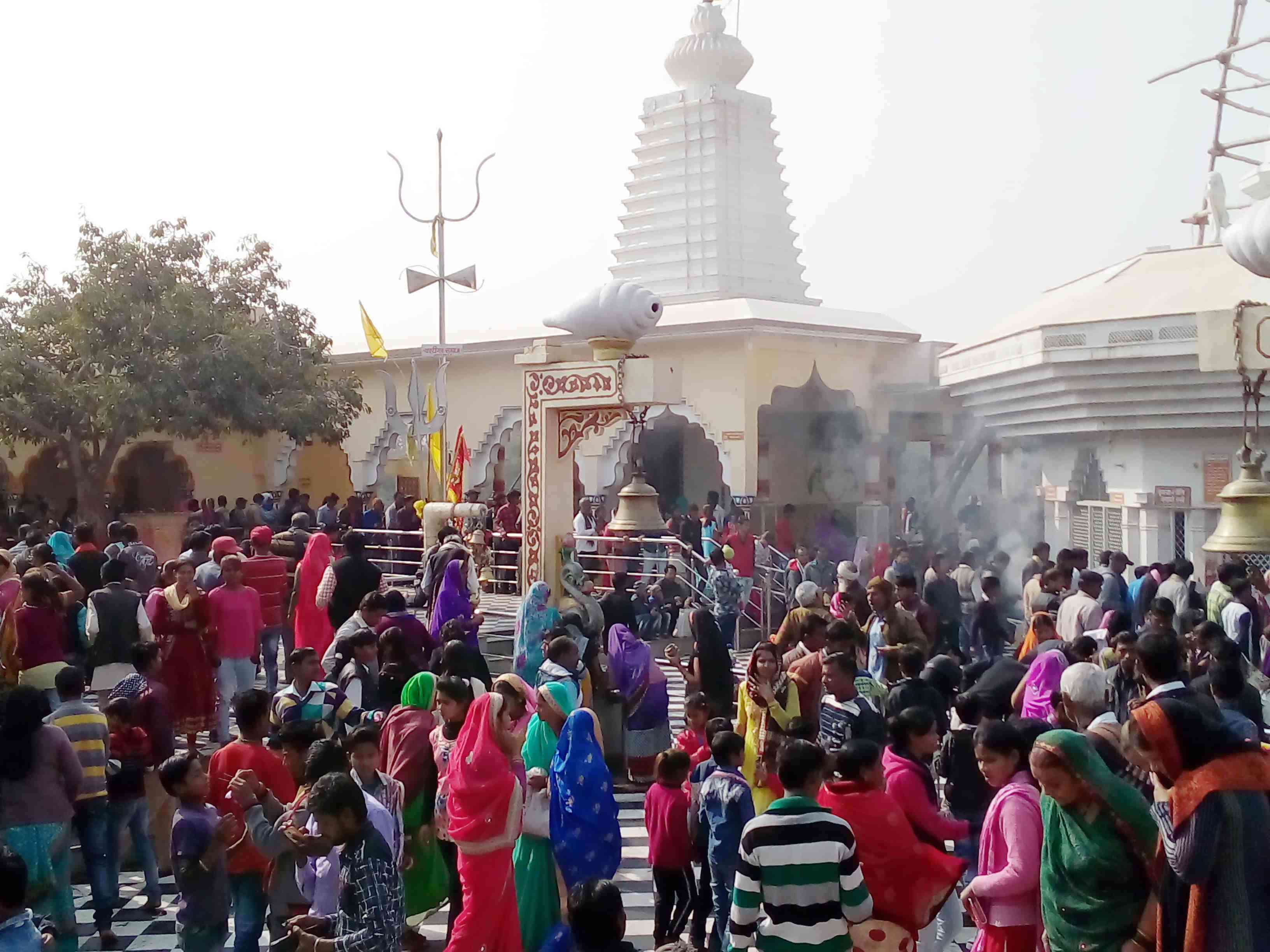 मकर संक्रांति