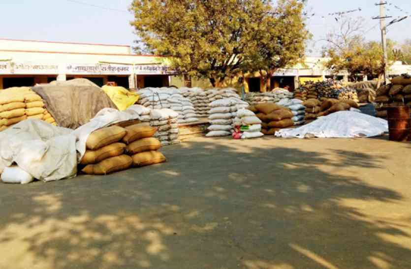 bandikui mandi छठे दिन भी कारोबार ठप, समझौता वार्ता में नहीं आए पल्लेदार