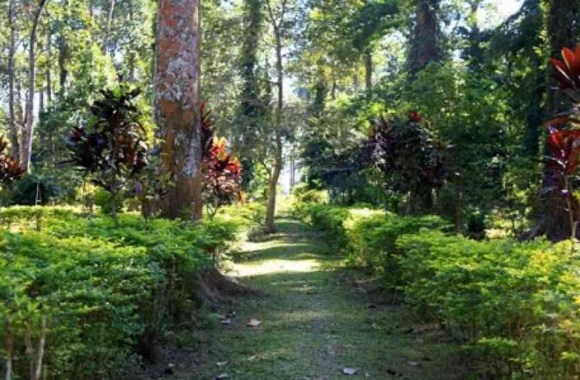 Botenical garden अजब-गजब: उत्तर प्रदेश के इस गार्डन में मौजूद है समुद्र मंथन में निकला कल्पवृक्ष