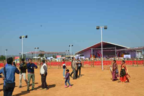 Collector flying kite
