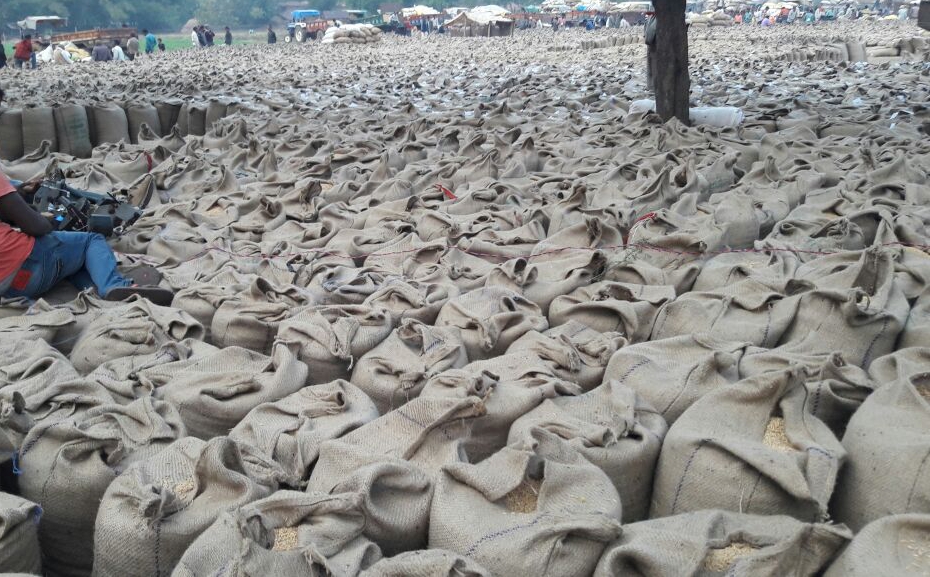 Minimum support price : Farmers waiting for payment in Sidhi समर्थन मूल्य पर धान बेचकर भुगतान के लिए भटक रहे किसान
