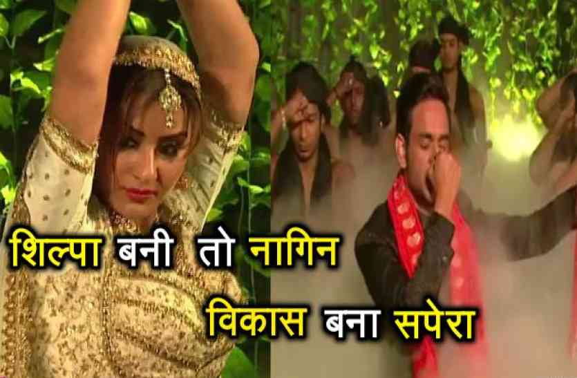 BIGG BOSS 11 VIDEO: बिग बॅास 11 में शिल्पा बनी नागिन तो विकास ने सपेरा बन बजाई बीन...