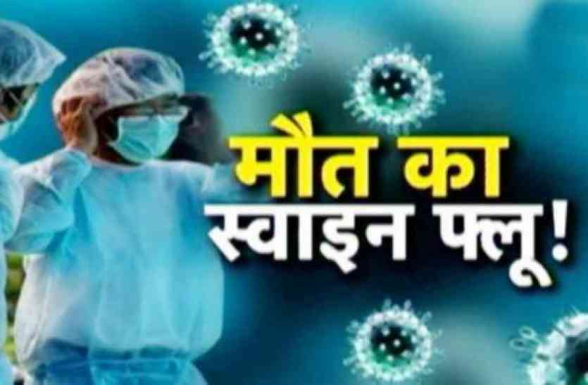 spreading swine flu in rajasthan राजस्थान में फिर से बढ़ रहा स्वाइन फ्लू, चिकित्सा महकमे में हड़कम्प