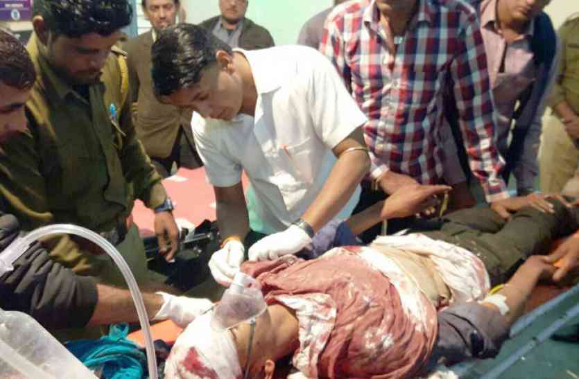 tiger attack बाघ के हमले में युवक घायल, खेत में फसलों में पानी दे रहा था युवक
