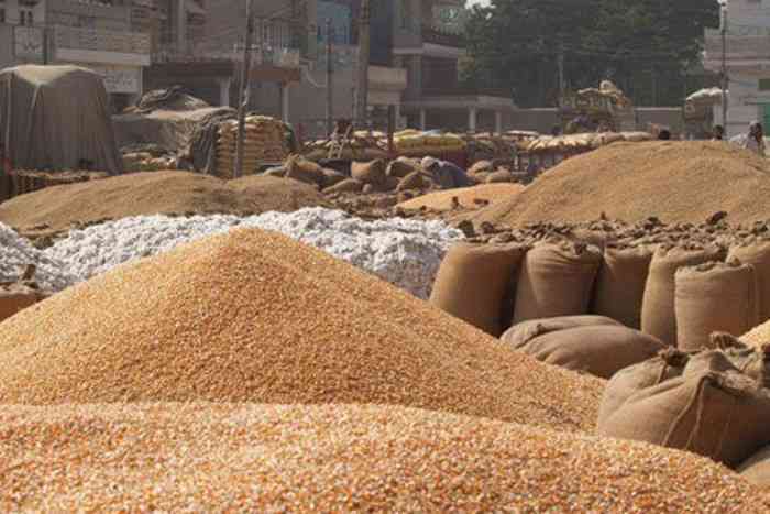 wheat msp wheat msp