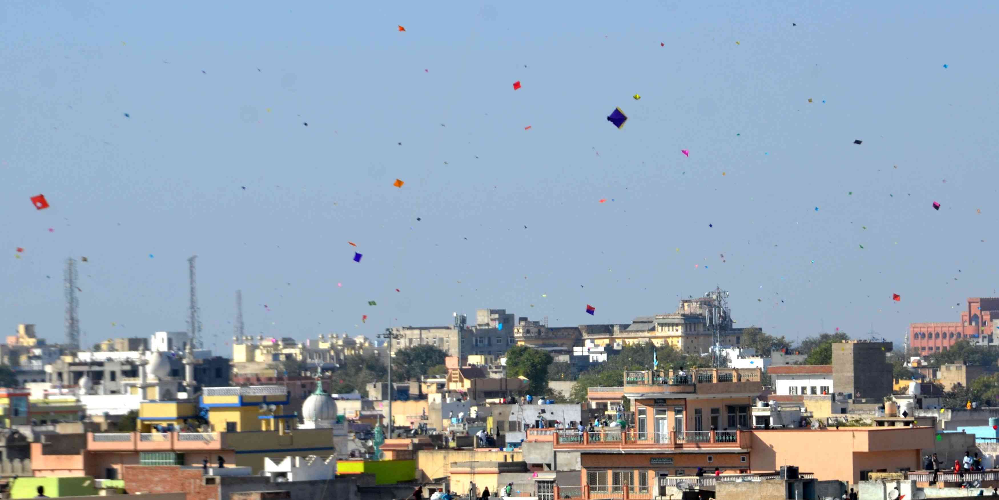 sikar patang sikar patang