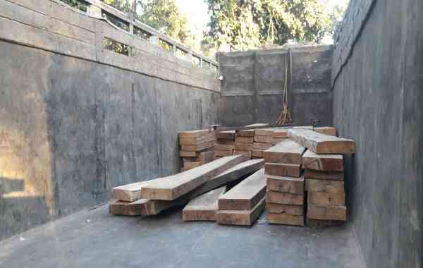 Seized woods