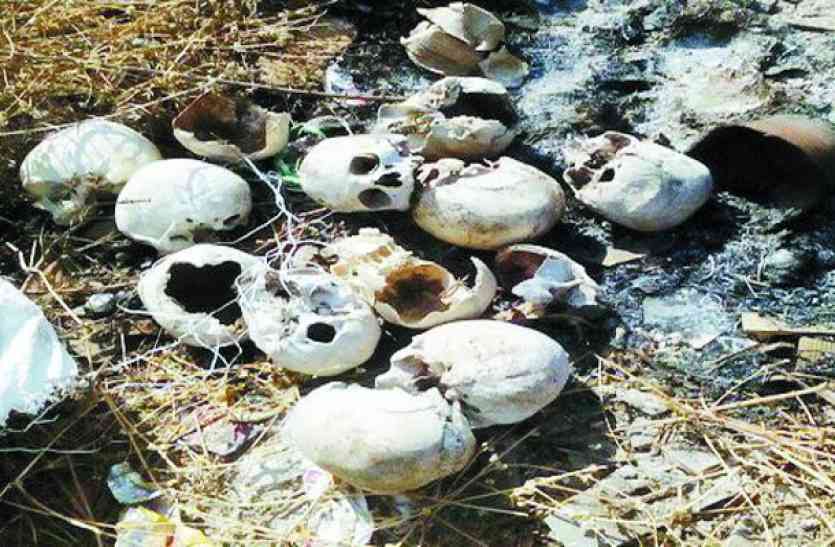 MYS HUMAN SKULL जांच में जुटी पुलिस,मैसूरु में मिले 13 नर मुंड