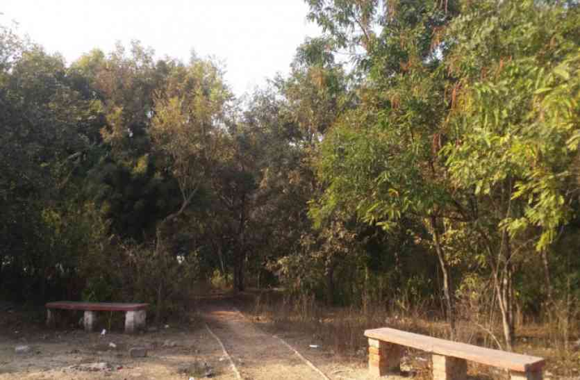 Negligence in making playground जंगल है या खेल मैदान, आश्चर्य में खिलाड़ी व ग्रामीण