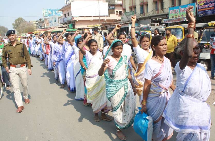 bhasha विलुप्त हो रही आदिवासी संस्कृति और भाषा पर हो रहा शोध